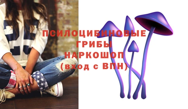 тгк Алексин