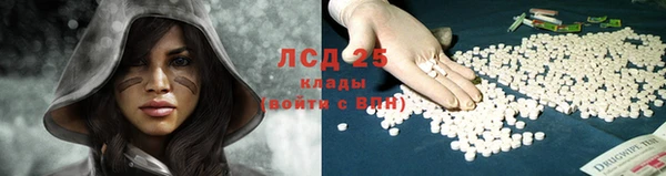 тгк Алексин