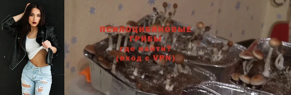 тгк Алексин