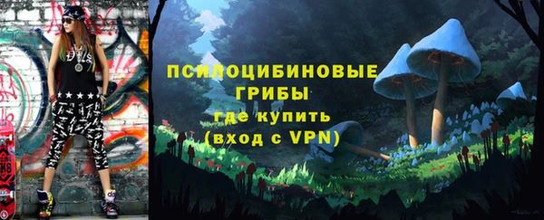 прущая мука Алзамай