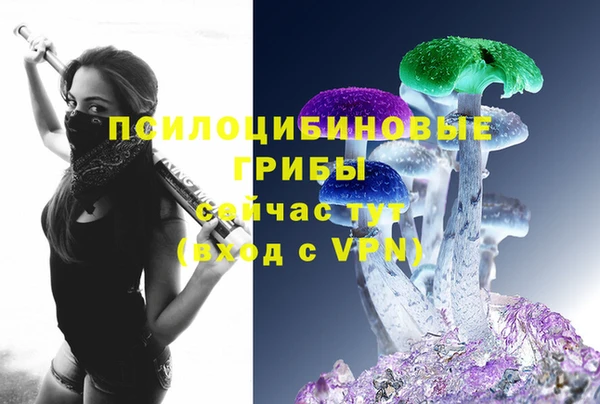 прущая мука Алзамай